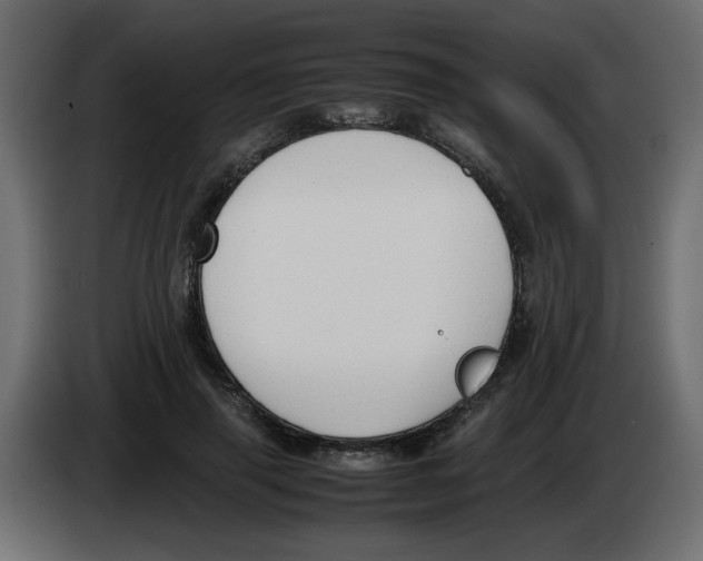 X0000083010645200703021941