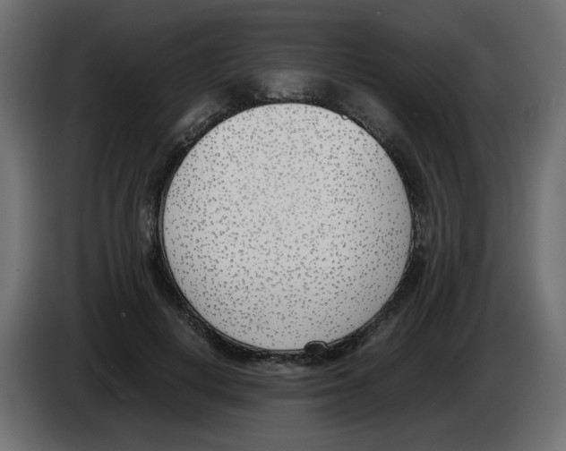 X0000083010648200703021941