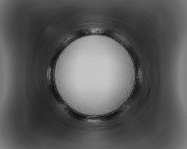 X0000083010650200703021941