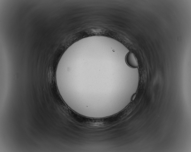 X0000083010651200703021941