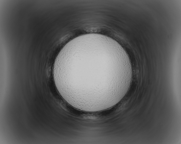 X0000083010652200703021941