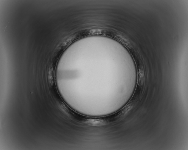 X0000083010654200703021941