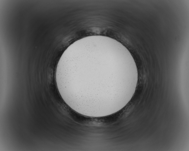 X0000083010656200703021942