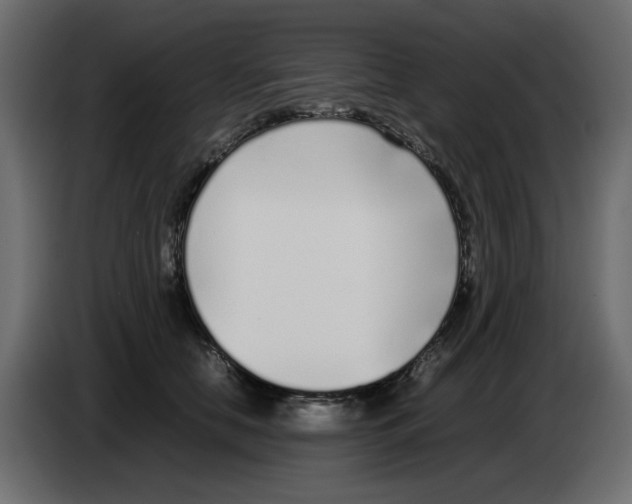 X0000083010658200703021942