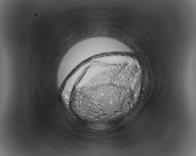 X0000083010659200703021942