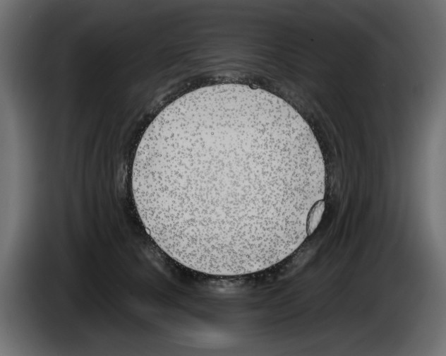 X0000083010660200703021942