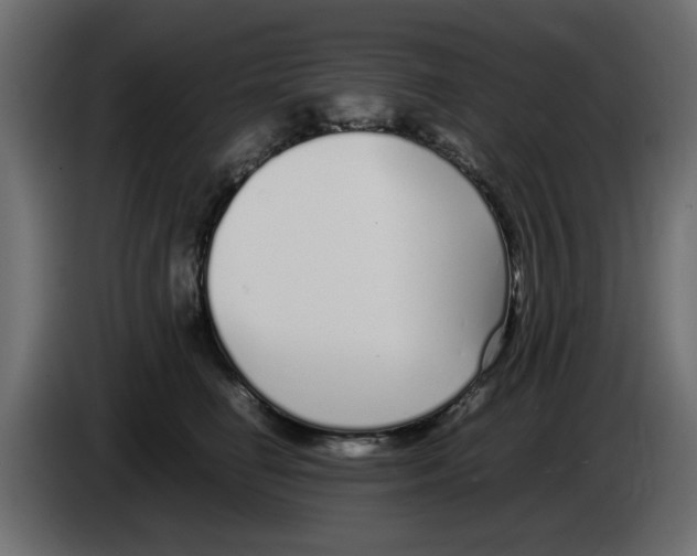 X0000083010662200703021942