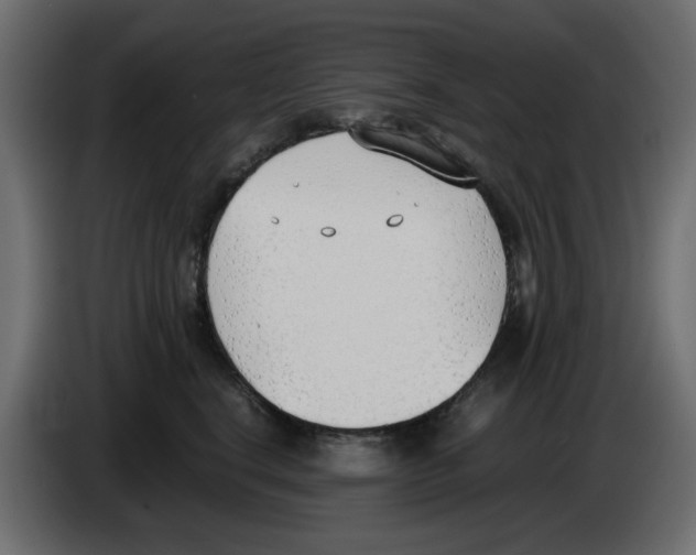 X0000083010664200703021942