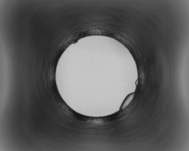 X0000083010665200703021942