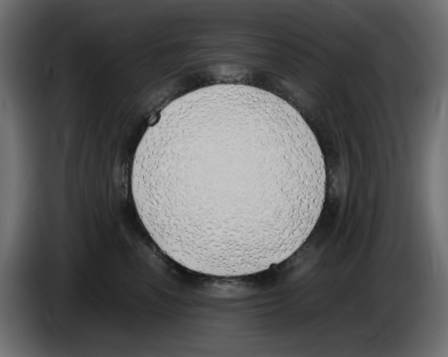 X0000083010666200703021942