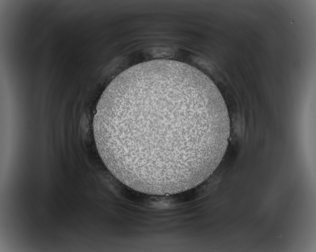 X0000083010667200703021942