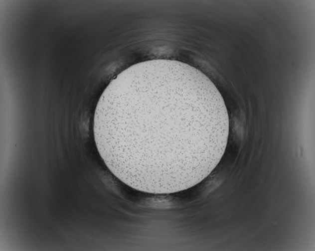 X0000083010668200703021942