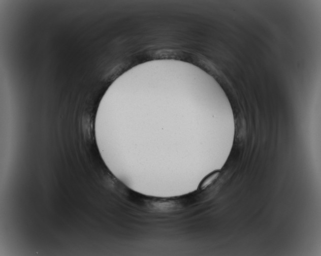 X0000083010669200703021942