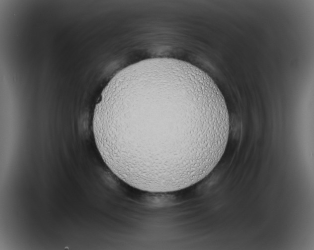 X0000083010670200703021942