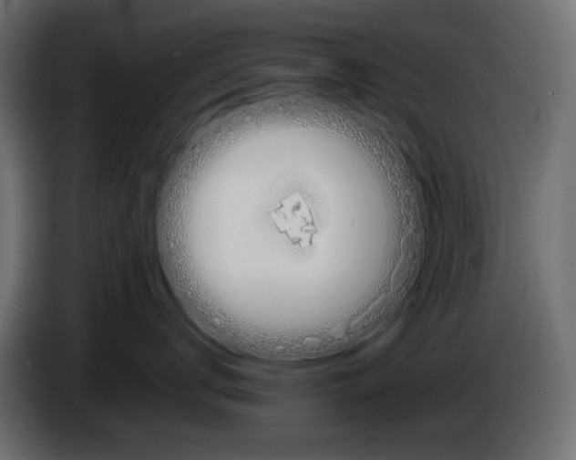 X0000083010672200703021942