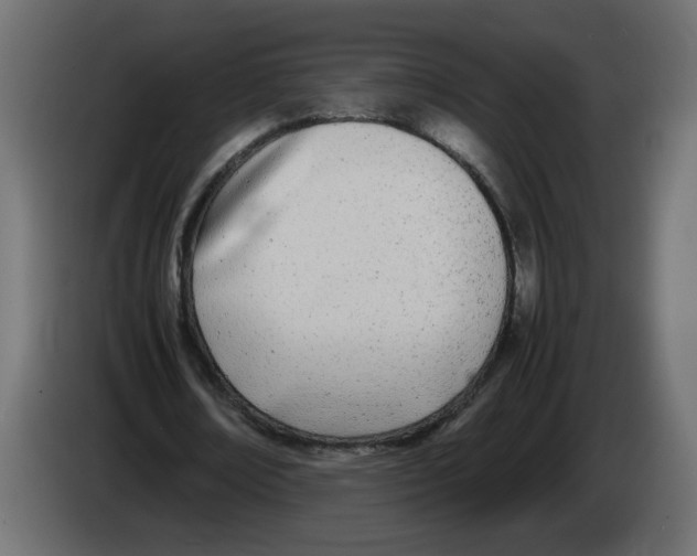 X0000083010674200703021941