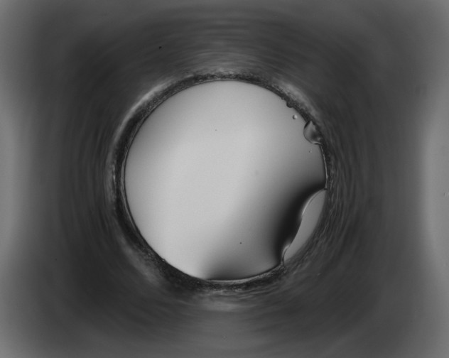 X0000083010680200703021941