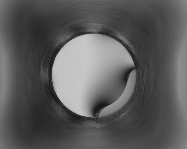 X0000083010681200703021941