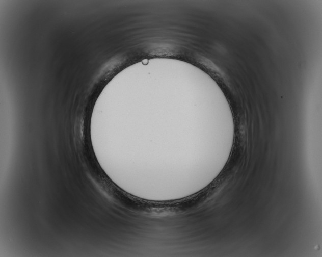 X0000083010686200703021941