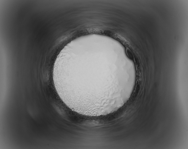 X0000083010687200703021941