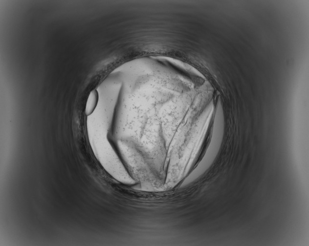 X0000083010688200703021941