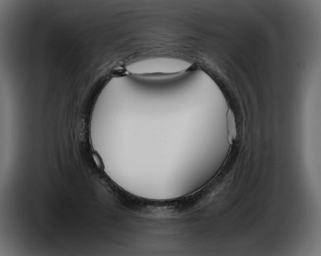 X0000083010689200703021941