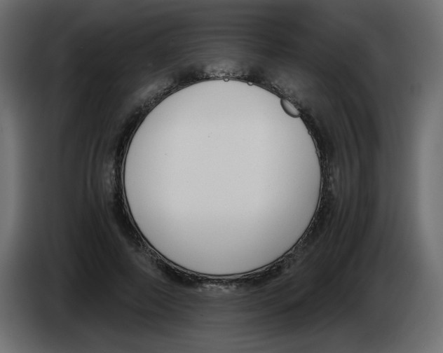 X0000083010690200703021941