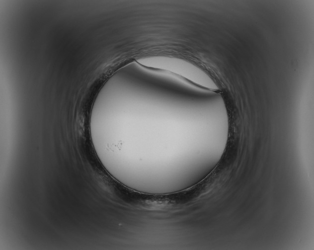 X0000083010693200703021941