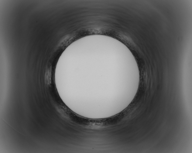 X0000083010694200703021941