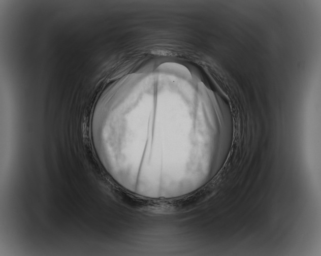 X0000083010696200703021941