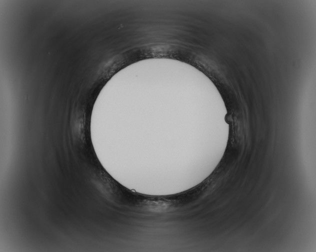 X0000083010698200703021941