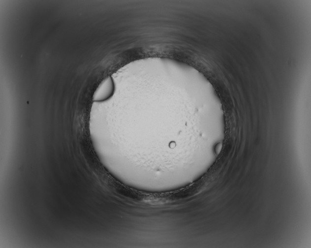 X0000083010699200703021941