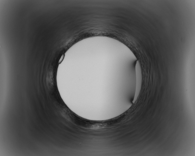 X0000083010700200703021941