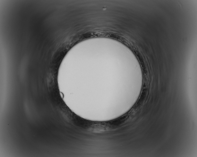 X0000083010703200703021941