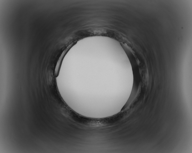 X0000083010704200703021941