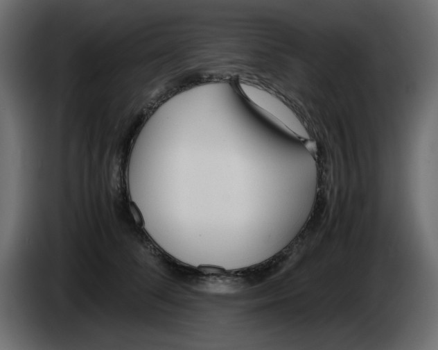 X0000083010708200703021941