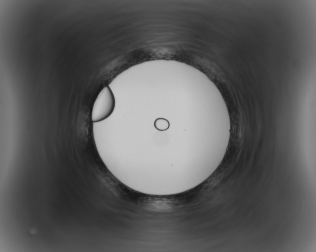 X0000083010710200703021941