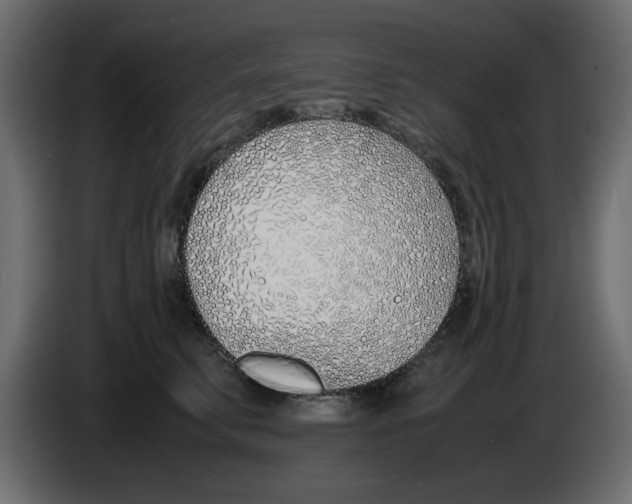 X0000083010711200703021941