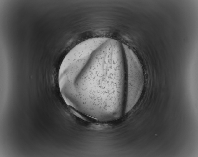 X0000083010712200703021940