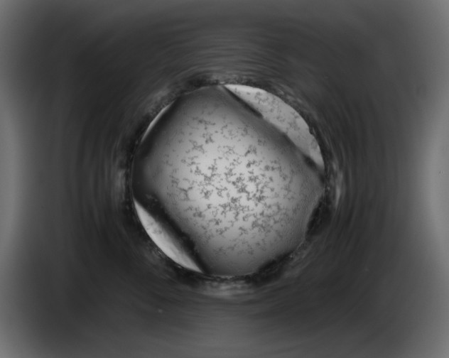 X0000083010716200703021940