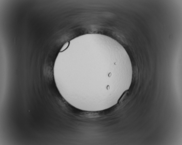 X0000083010719200703021940