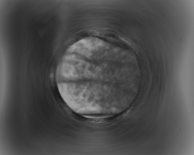 X0000083010720200703021940