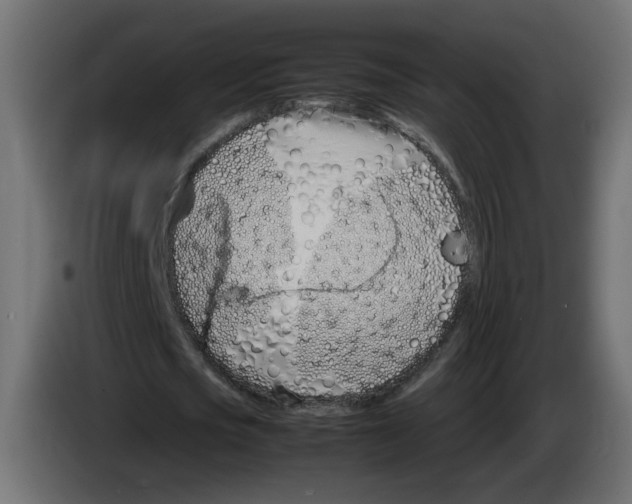 X0000083010721200703021940