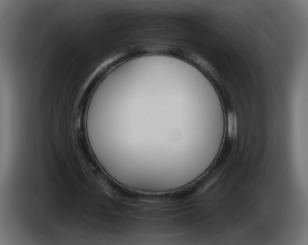 X0000083010723200703021940