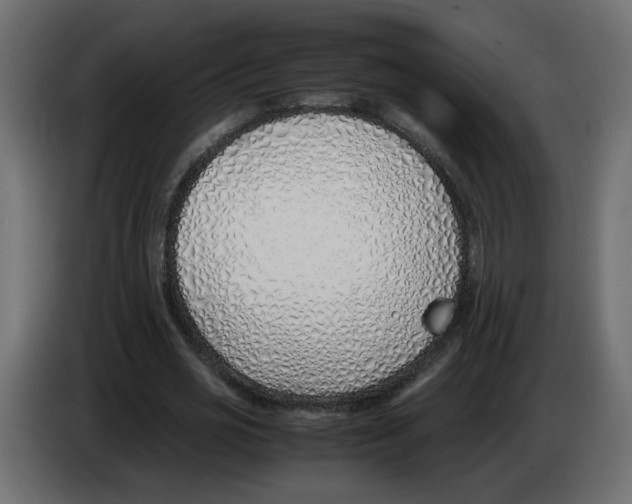 X0000083010725200703021940