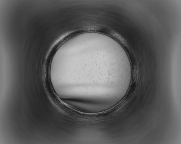 X0000083010726200703021940