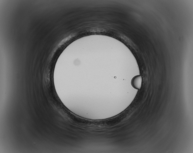 X0000083010727200703021940