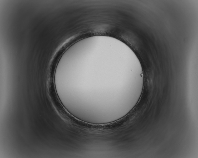 X0000083010728200703021940