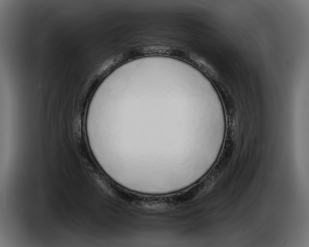 X0000083010729200703021940