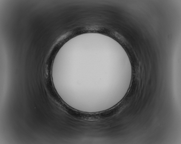 X0000083010731200703021940